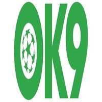 ok9glass