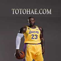 totohae.com
