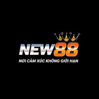new88816