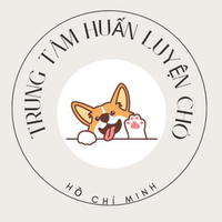 huanluyenchoq1
