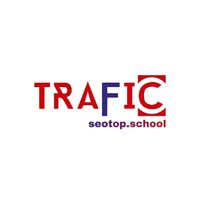 dvtrafficseotop