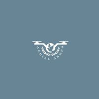 aerialashes