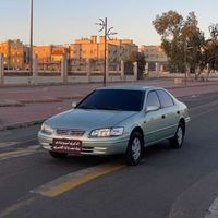 naif77x7