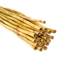 Reedhilla