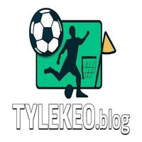 tylekeoblogvn 0