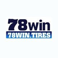 78wintires