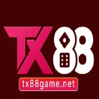 tx88gamenet2lh