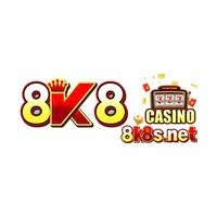 8k8snet