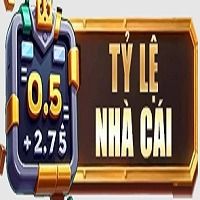 nhacaityle