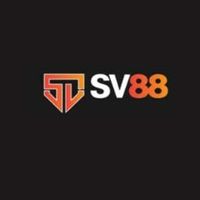 sv88airlines