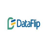 dataflipun