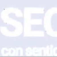 seoconsentido