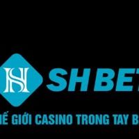 shbetid2