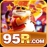 95rviporg