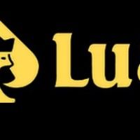lu88archi1