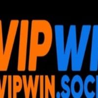 vipwinsocial