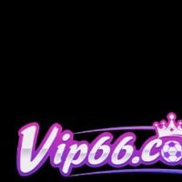 vip66zcx
