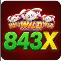 843xorg