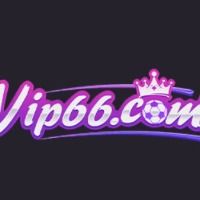 vip66mobile3