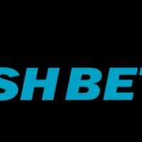 shbet0team2