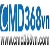 cmd368vncinnet1
