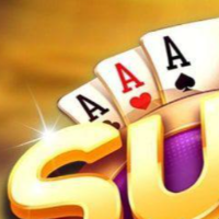 sunwinsalesforce