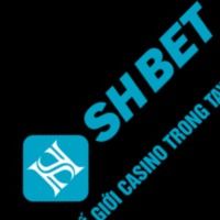 shbethealth