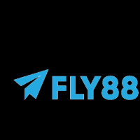 fly888snet