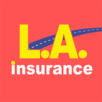 lainsurancemi311