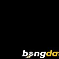 bongdata1