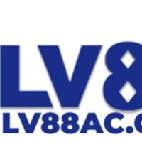 lv88accom1