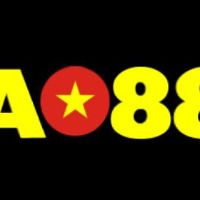 ao88t5net