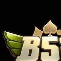 b52bsacom