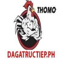 dagatructiepph