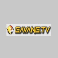 gavangtvwork2